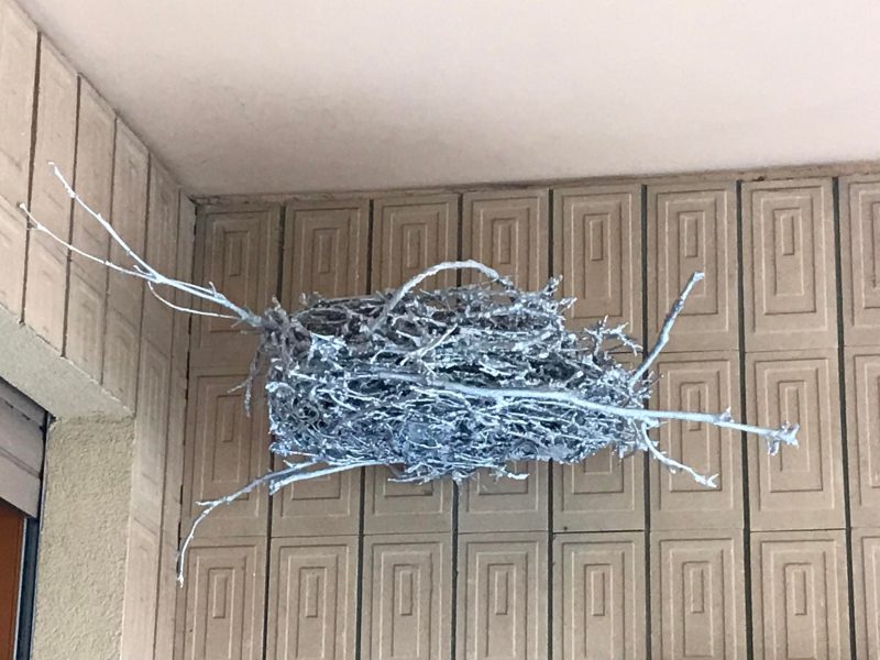 Nest