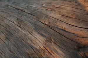 Legno