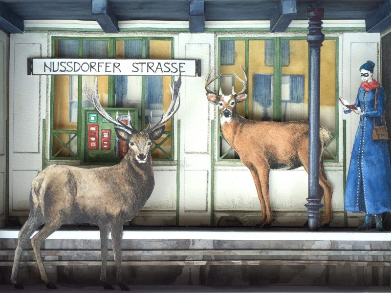 Monolocale 41- Nussdorfer Strasse