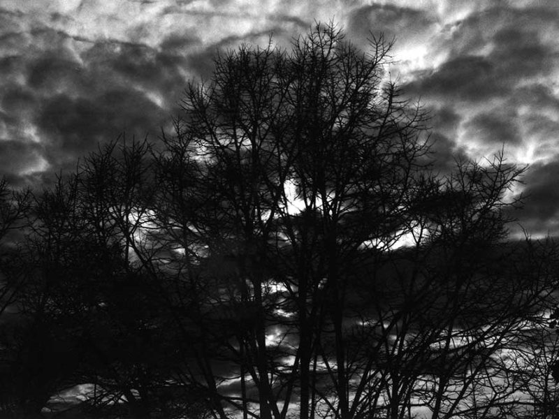 La notte della mente