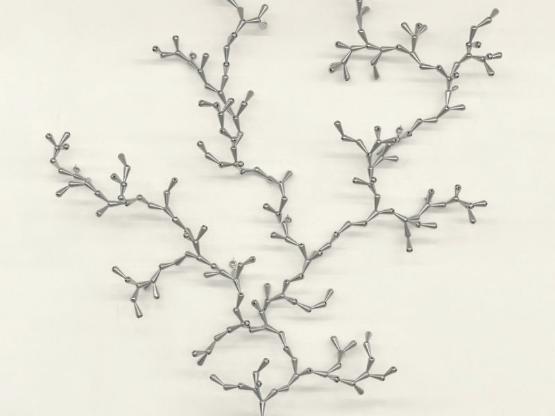 The developed seed